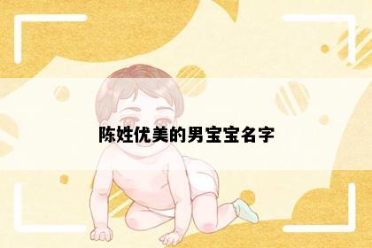 陈姓优美的男宝宝名字