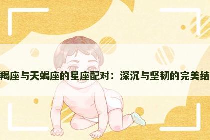 摩羯座与天蝎座的星座配对：深沉与坚韧的完美结合