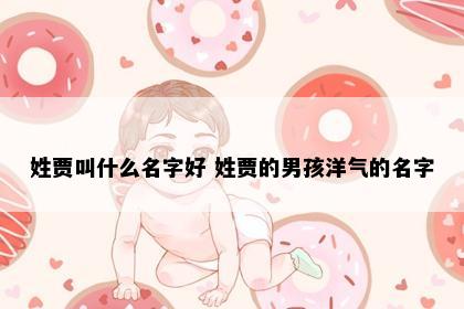 姓贾叫什么名字好 姓贾的男孩洋气的名字
