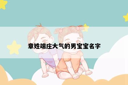 章姓端庄大气的男宝宝名字