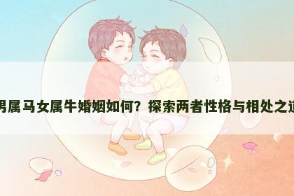 男属马女属牛婚姻如何？探索两者性格与相处之道