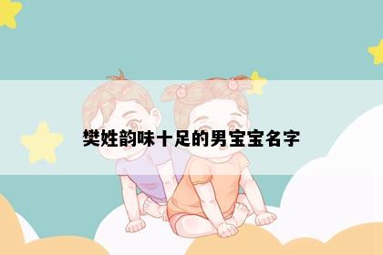 樊姓韵味十足的男宝宝名字