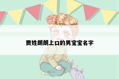 贾姓朗朗上口的男宝宝名字