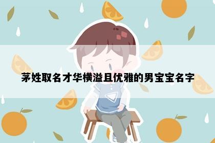 茅姓取名才华横溢且优雅的男宝宝名字
