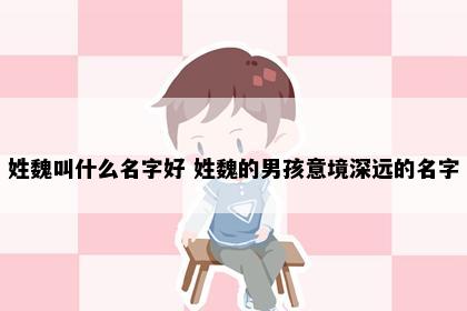姓魏叫什么名字好 姓魏的男孩意境深远的名字