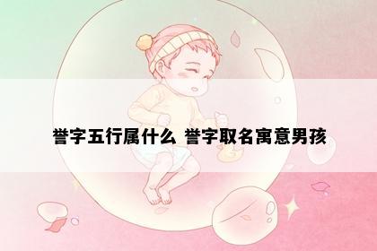 誉字五行属什么 誉字取名寓意男孩