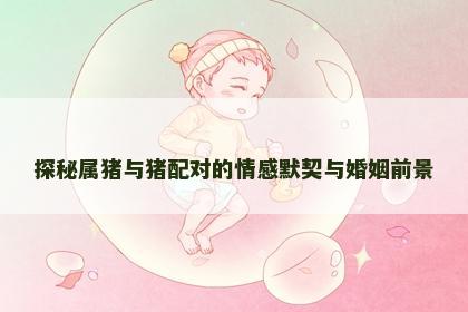 探秘属猪与猪配对的情感默契与婚姻前景