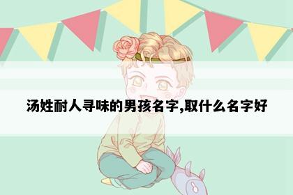 汤姓耐人寻味的男孩名字,取什么名字好