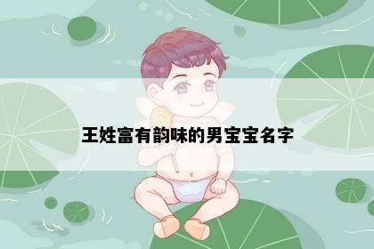 王姓富有韵味的男宝宝名字