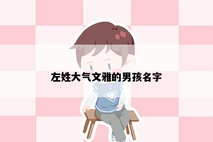 左姓大气文雅的男孩名字