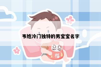 韦姓冷门独特的男宝宝名字