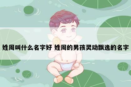 姓周叫什么名字好 姓周的男孩灵动飘逸的名字