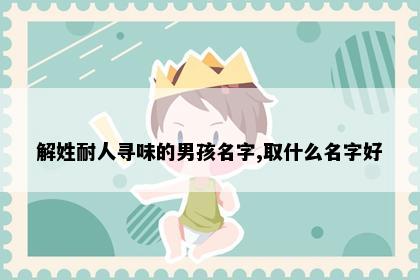 解姓耐人寻味的男孩名字,取什么名字好
