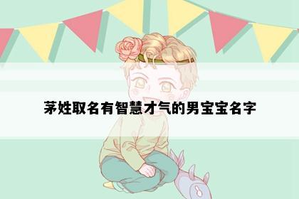 茅姓取名有智慧才气的男宝宝名字