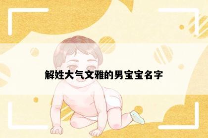 解姓大气文雅的男宝宝名字