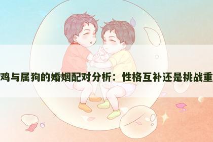 属鸡与属狗的婚姻配对分析：性格互补还是挑战重重