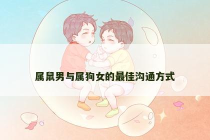 属鼠男与属狗女的最佳沟通方式