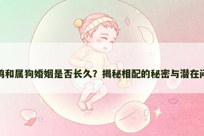 属鸡和属狗婚姻是否长久？揭秘相配的秘密与潜在问题