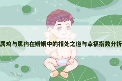 属鸡与属狗在婚姻中的相处之道与幸福指数分析