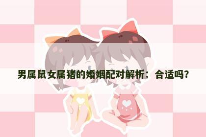 男属鼠女属猪的婚姻配对解析：合适吗？