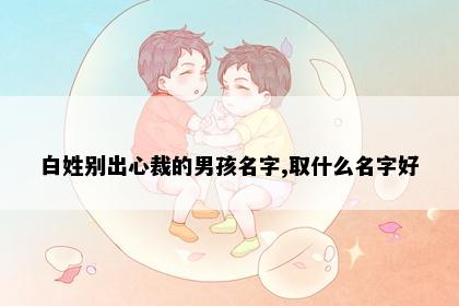 白姓别出心裁的男孩名字,取什么名字好