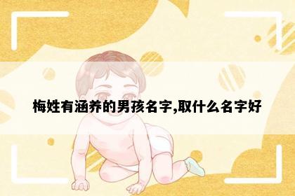 梅姓有涵养的男孩名字,取什么名字好