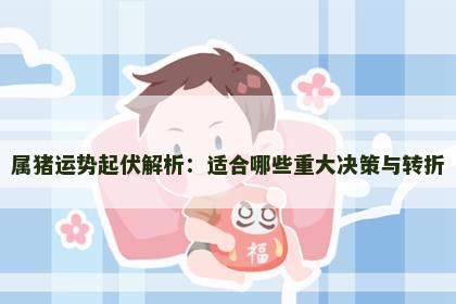 属猪运势起伏解析：适合哪些重大决策与转折