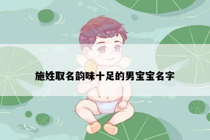 施姓取名韵味十足的男宝宝名字