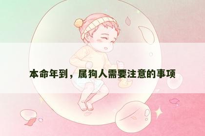 本命年到，属狗人需要注意的事项