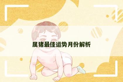 属猪最佳运势月份解析