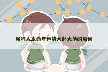 属狗人本命年运势大起大落的原因