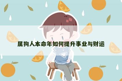 属狗人本命年如何提升事业与财运