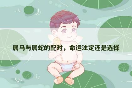 属马与属蛇的配对，命运注定还是选择