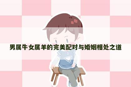 男属牛女属羊的完美配对与婚姻相处之道
