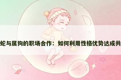 属蛇与属狗的职场合作：如何利用性格优势达成共赢