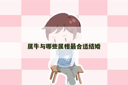 属牛与哪些属相最合适结婚