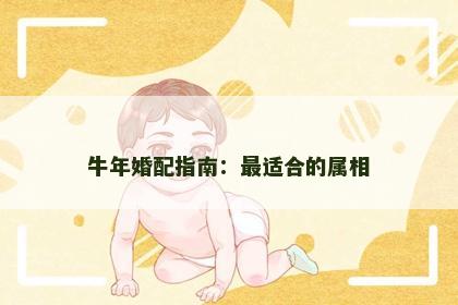 牛年婚配指南：最适合的属相