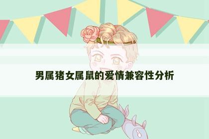 男属猪女属鼠的爱情兼容性分析