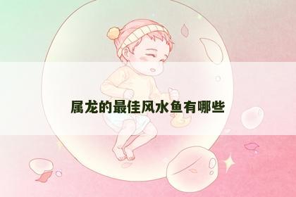 属龙的最佳风水鱼有哪些
