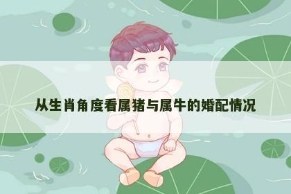 从生肖角度看属猪与属牛的婚配情况