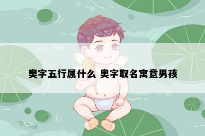 奥字五行属什么 奥字取名寓意男孩