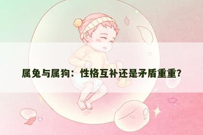 属兔与属狗：性格互补还是矛盾重重？