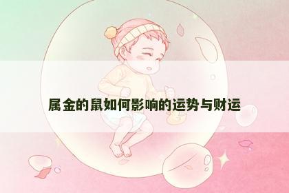 属金的鼠如何影响的运势与财运