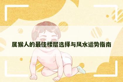 属猴人的最佳楼层选择与风水运势指南