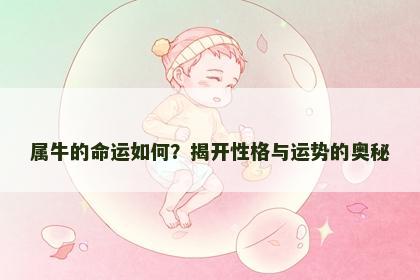 属牛的命运如何？揭开性格与运势的奥秘
