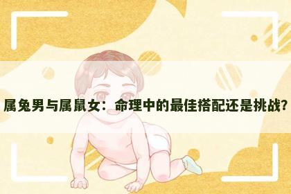 属兔男与属鼠女：命理中的最佳搭配还是挑战？
