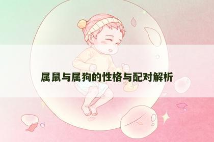属鼠与属狗的性格与配对解析