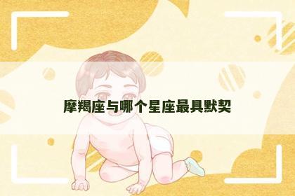 摩羯座与哪个星座最具默契