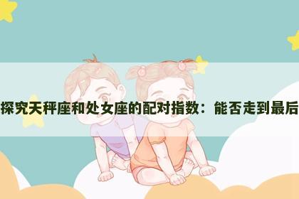 探究天秤座和处女座的配对指数：能否走到最后