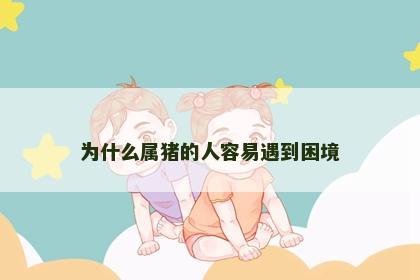为什么属猪的人容易遇到困境